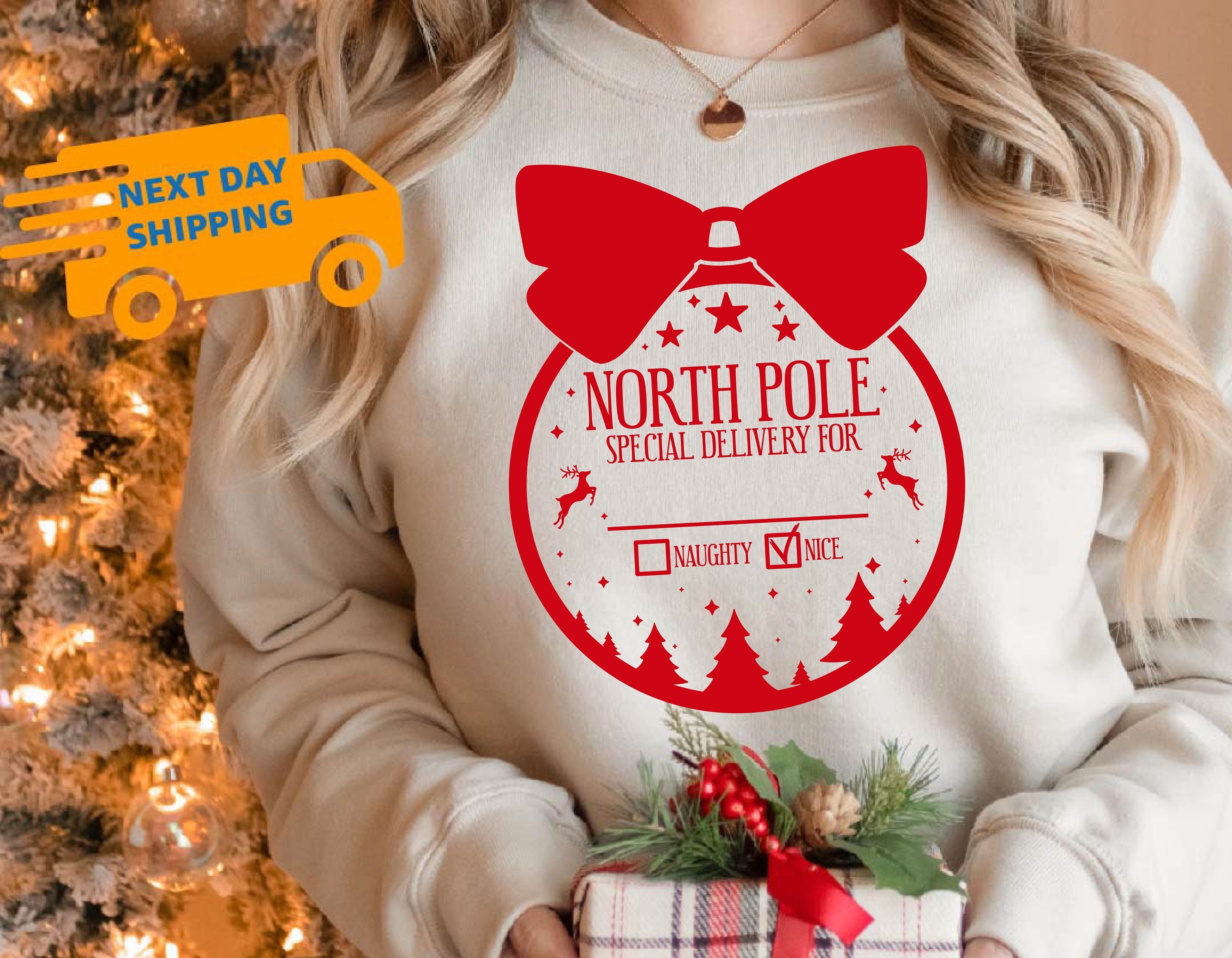 Custom Christmas Sweatshirt, Naughty or Nice Christmas Sweater, Christmas Matching Pajamas, Funny Christmas Sweatshirt, Matching Christmas