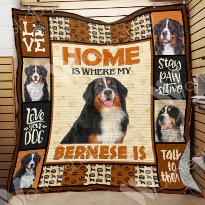 Bernese Mountain Dog Blanket DCB1701 69O50