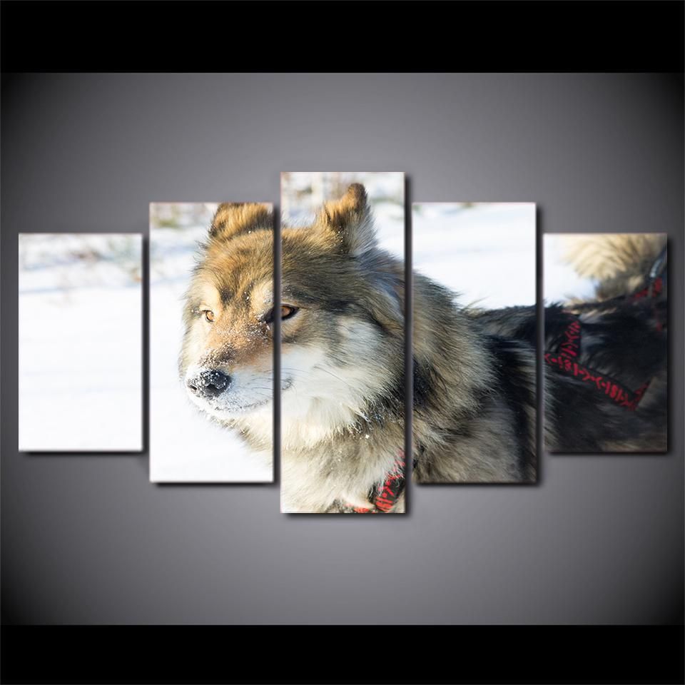 Snowfield Animal Wolf Dog Or Bedroom Animal 5 Panel Canvas Art Wall Decor