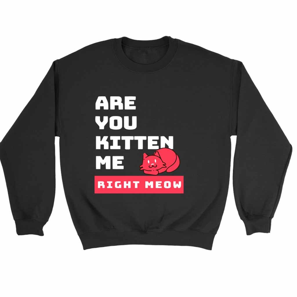 Are You Kitten Me Right Meow Two Sweatshirt Sweater