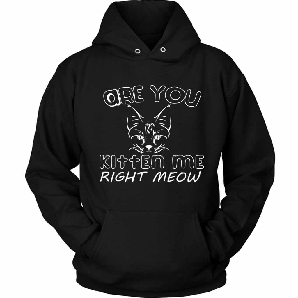 Are You Kitten Me Right Meow Maind Unisex Hoodie