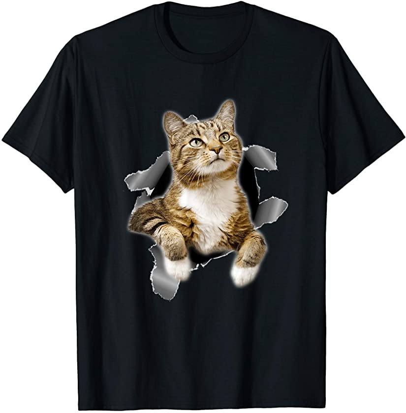 Sweet Kitten Torn Tee -Funny Cat Lover Cat Owner Cat Lady T-Shirt