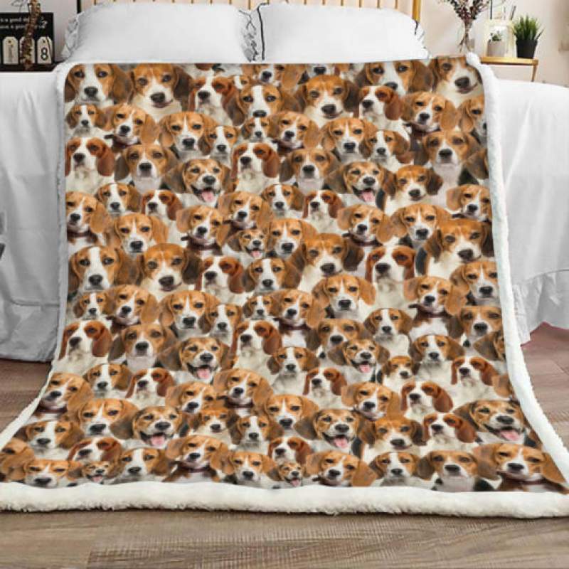 Beagle Dog Sherpa Blanket JR2001 69O43