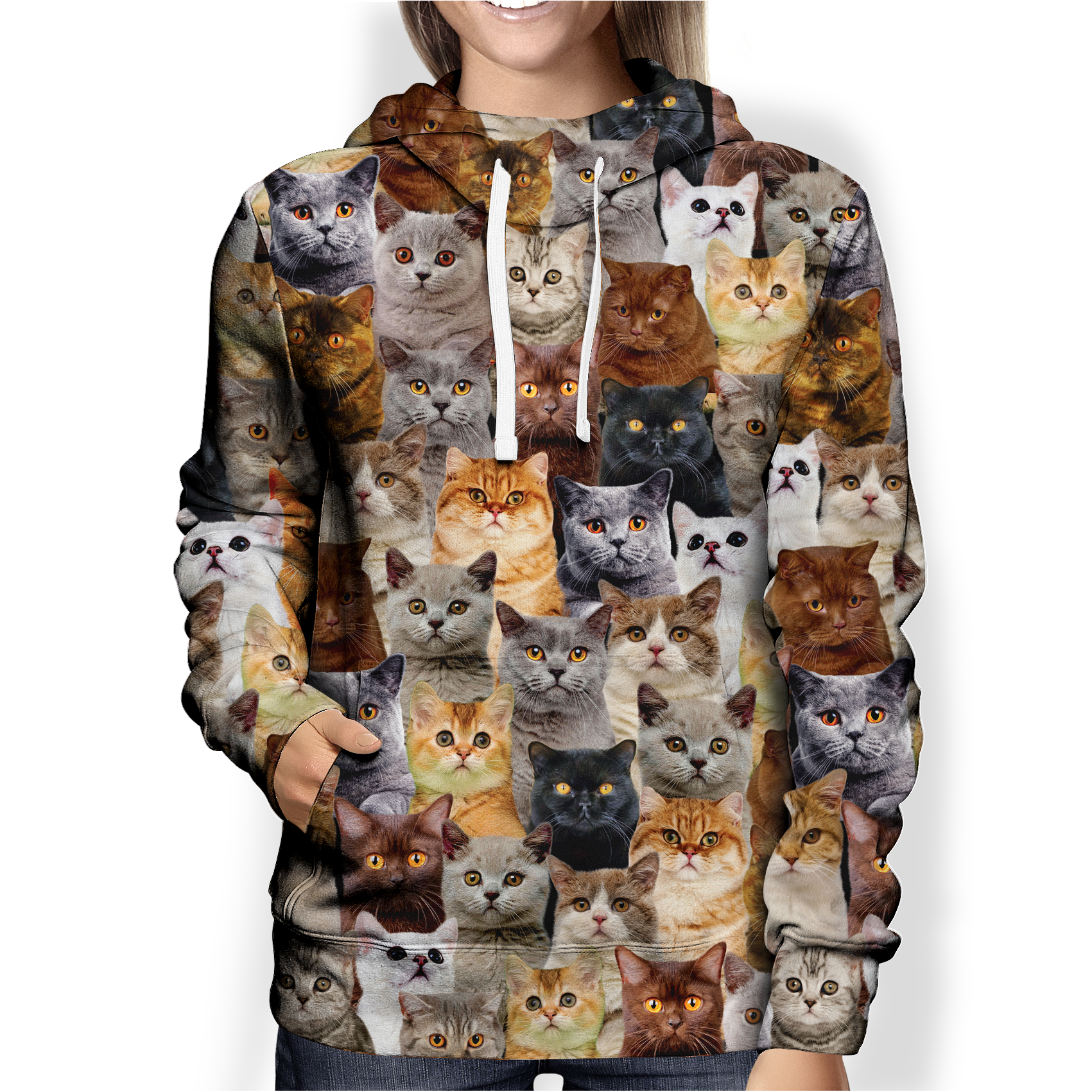 You Will Have A Bunch Of British Shorthair Cats – Hoodie V1