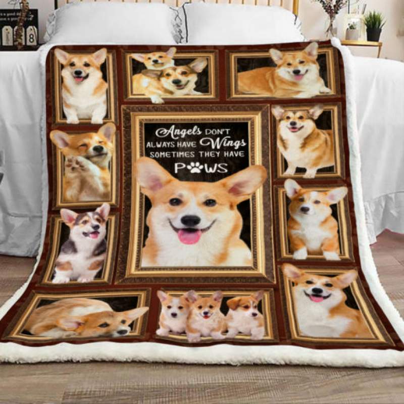 Corgi Dog Sherpa Blanket JR2101 67O50