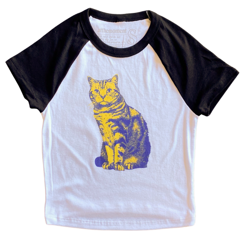 Blue and Yellow British Short Hair v2 Women   s Baby Rib Ladies Tee Shirt Outfit  For Men  For Women