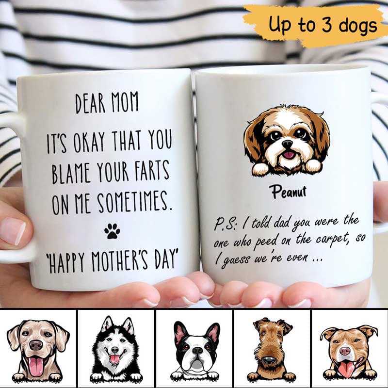 Blame Your Farts On Me Dog Mother‘s Day Father’s Day Personalized Mug