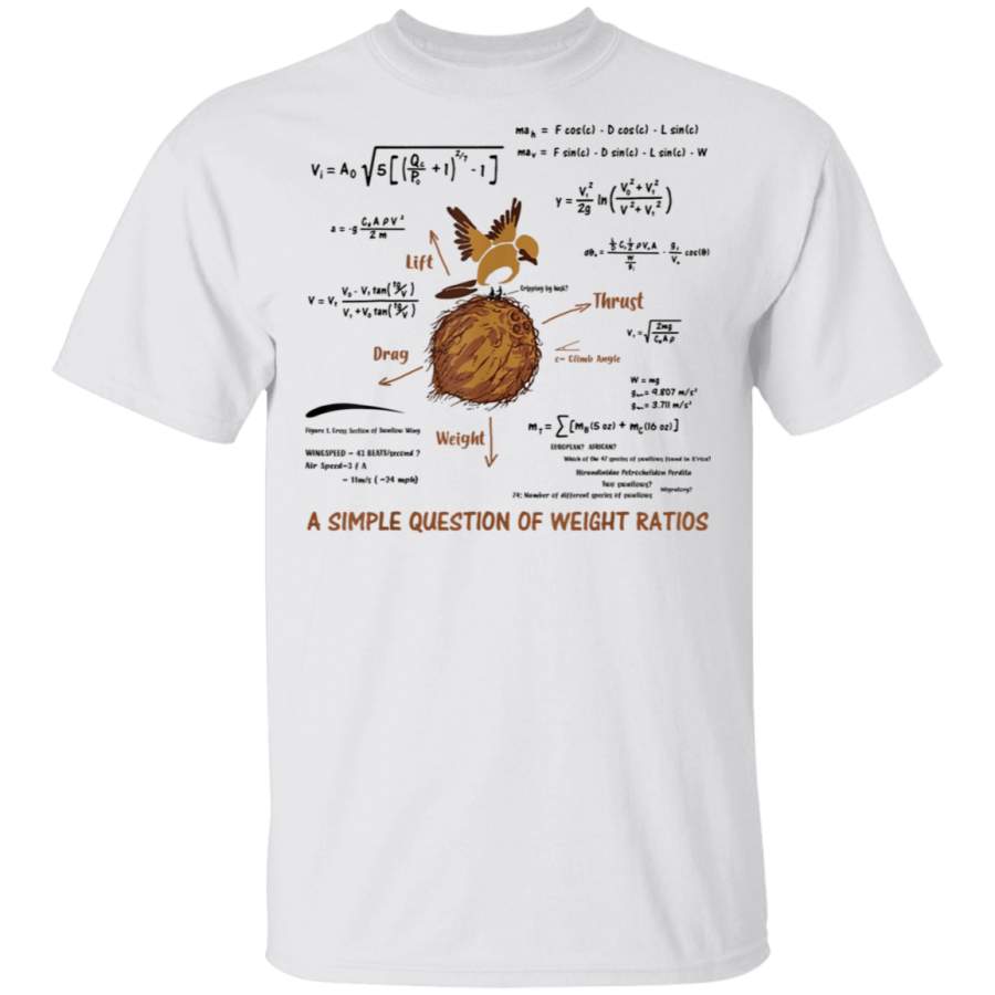 A Simple Question Of Weight Ratios Funny Math T-Shirt