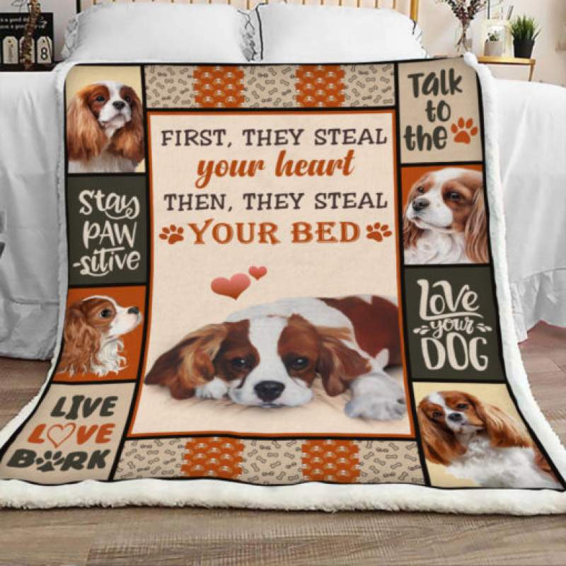 Cavalier King Charles Spaniel Dog Sherpa Blanket JR2202 67O49