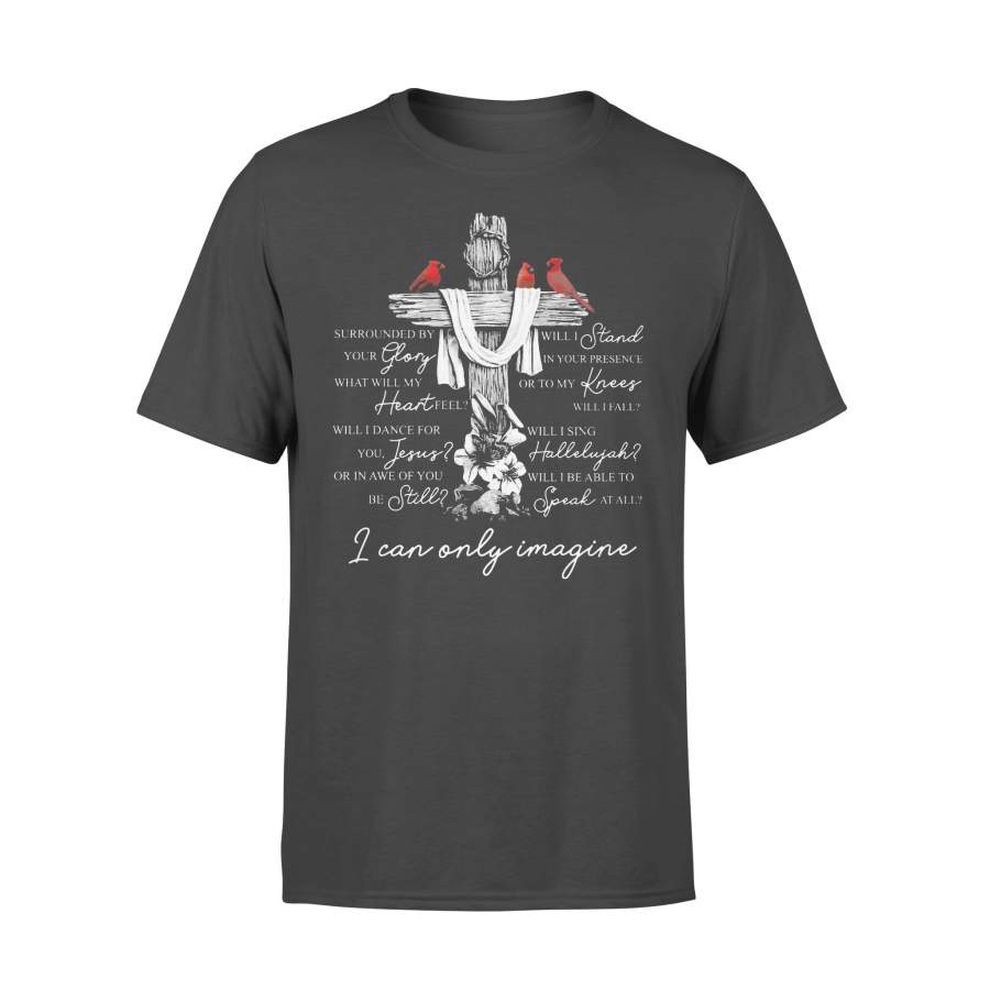 Cardinal I Can Only Imagine Lyrics T-shirt