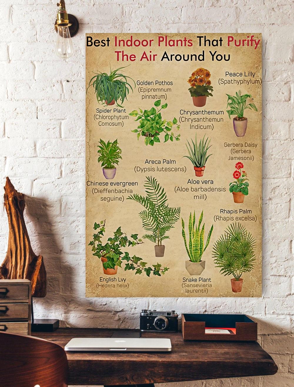 Best Indoor Plants Knowledge Vertical Print Poster