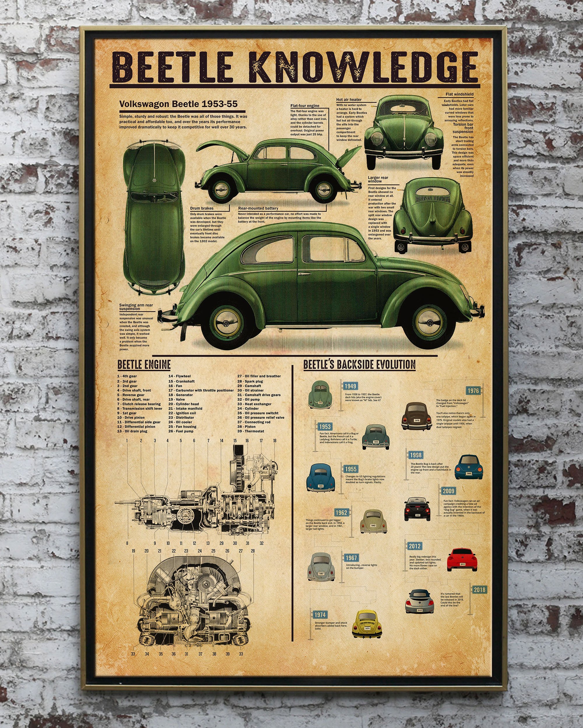 Beetle Knowledge Vertical  Paper Poster No Frame Matte Canvas Wall Decor