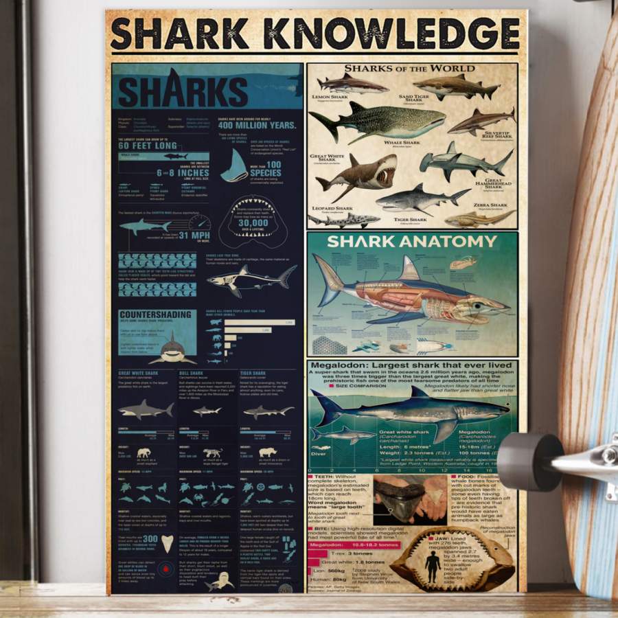 Shark Knowledge Special Custom Design Poster  Gift  For  Animal Lovers