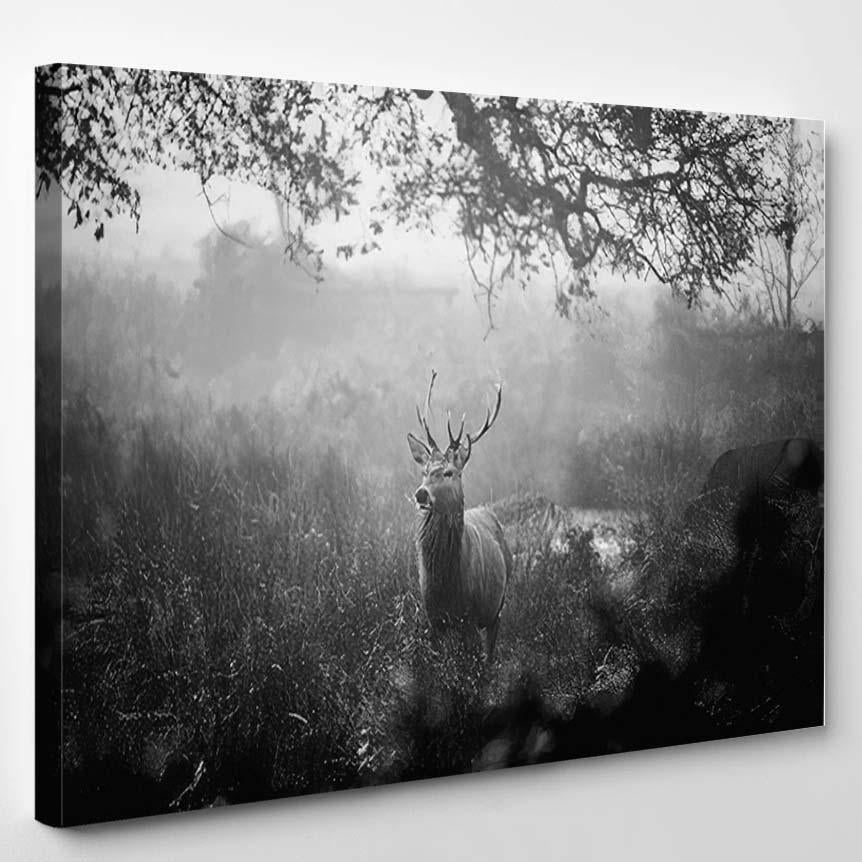 Stag Red Deer Woodland On Misty – Deer Animals Canvas Print