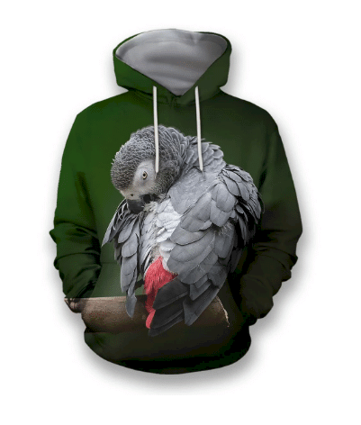 Placeholder