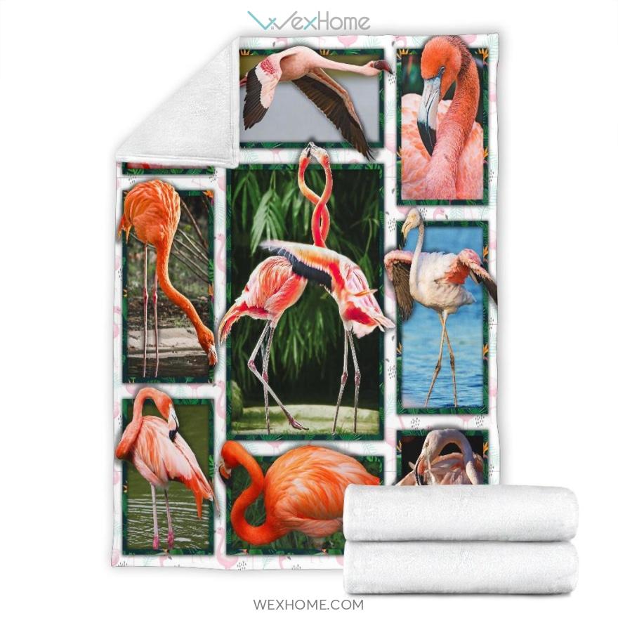 Flamingo Frames Premium Blanket Unique Design W2110