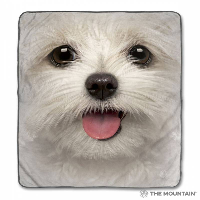 Big Face Maltese Puppy CLA1712739F Sherpa Fleece Blanket