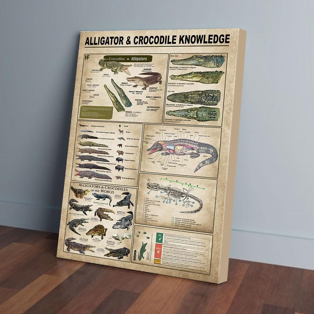 Canvas Prints Alligators & Crocodiles Knowledge Vintage Wall Art Canvas