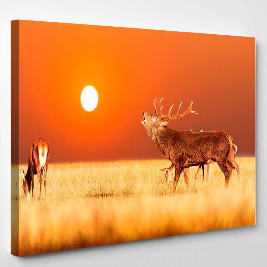 Red Deer Group Belling Stag During – Deer Animals Canvas Print