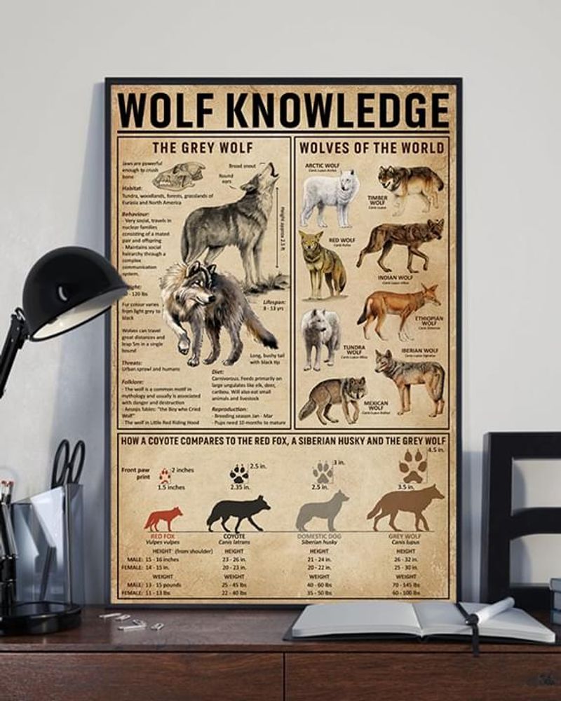 Wolf Knowledge Grey Wolf Wolves Of World poster canvas