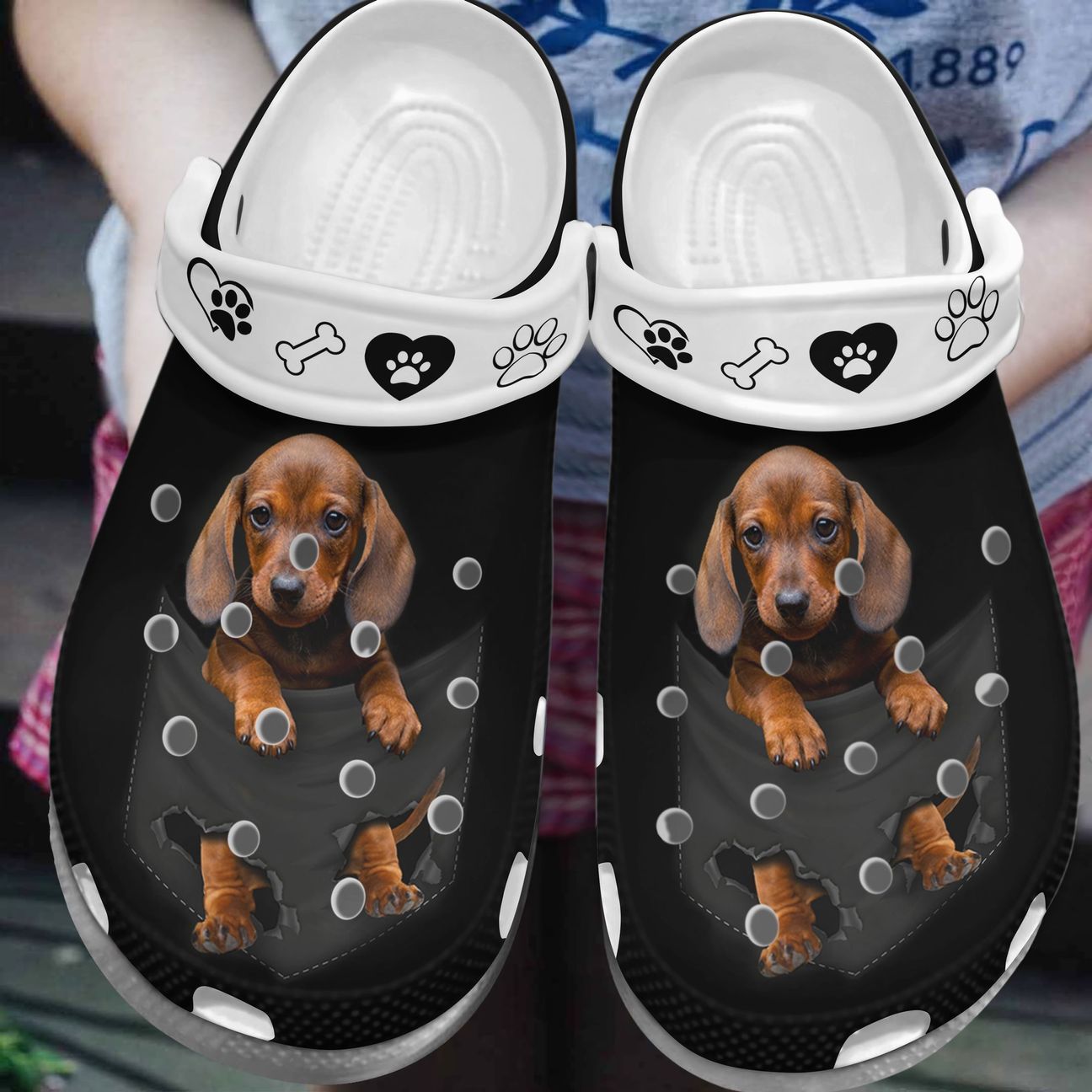 Dachshund Personalized Clog, Custom Name, Text, Color, Number Fashion Style For Women, Men, Kid, Print 3D A Lovely Dachshund