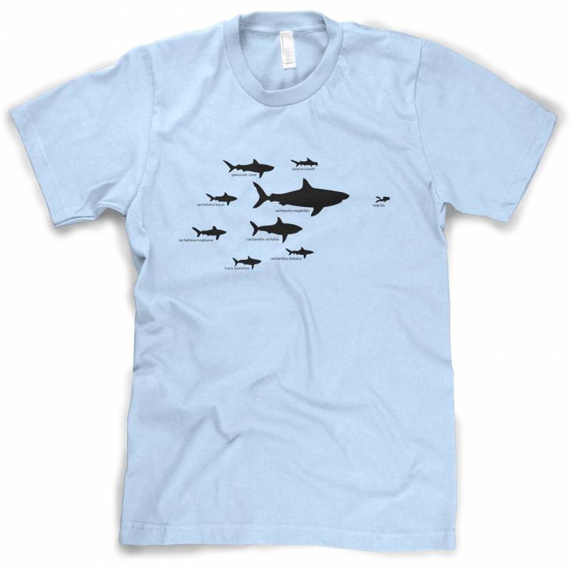 Shark Hierarchy Youth Tshirt