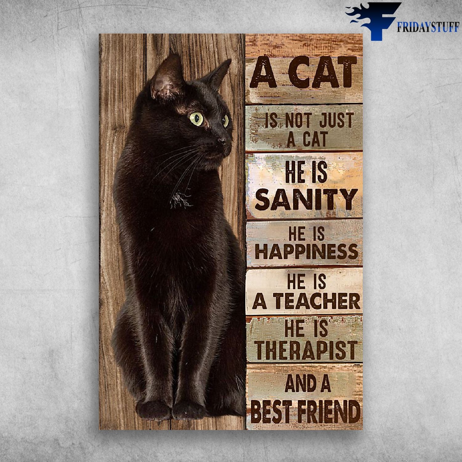 A Cat Is Not Just A Cat He Is Sanity And Best Friend Canvas Christmas Gift Ideas