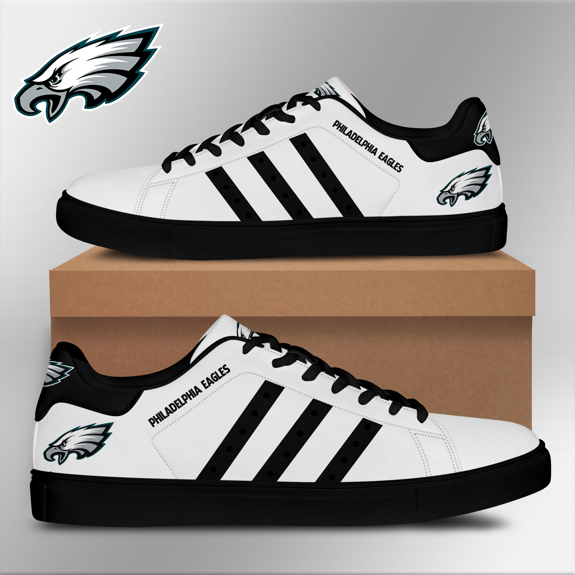 Philadelphia Eagles Low Top Shoes V6