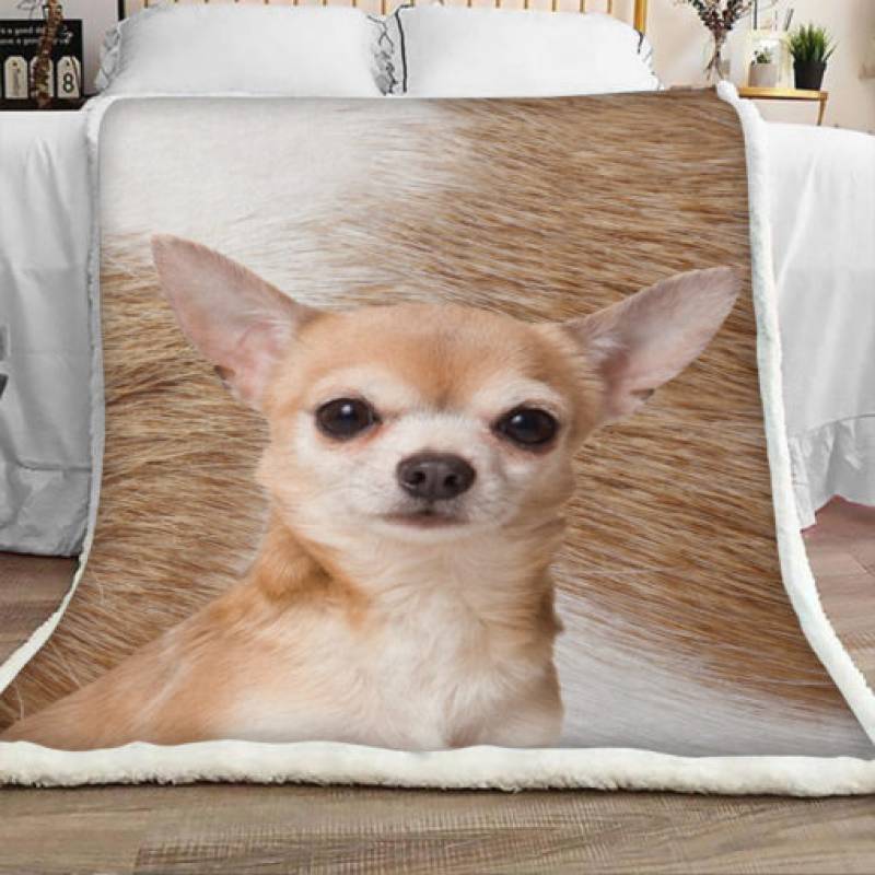 Chihuahua Dog Sherpa Blanket JR1001 67O57