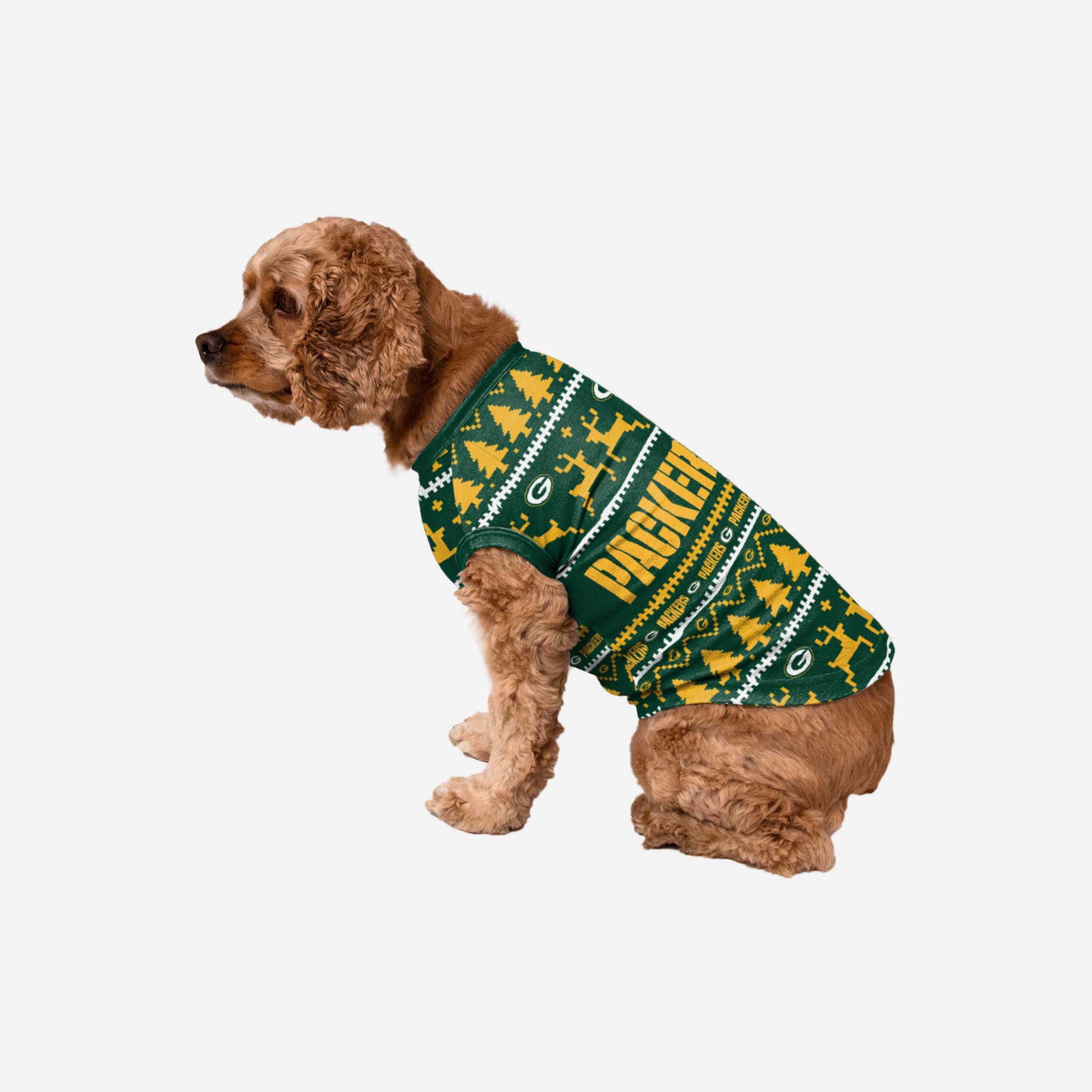 Green Bay Packers Dog Family Holiday Sweater