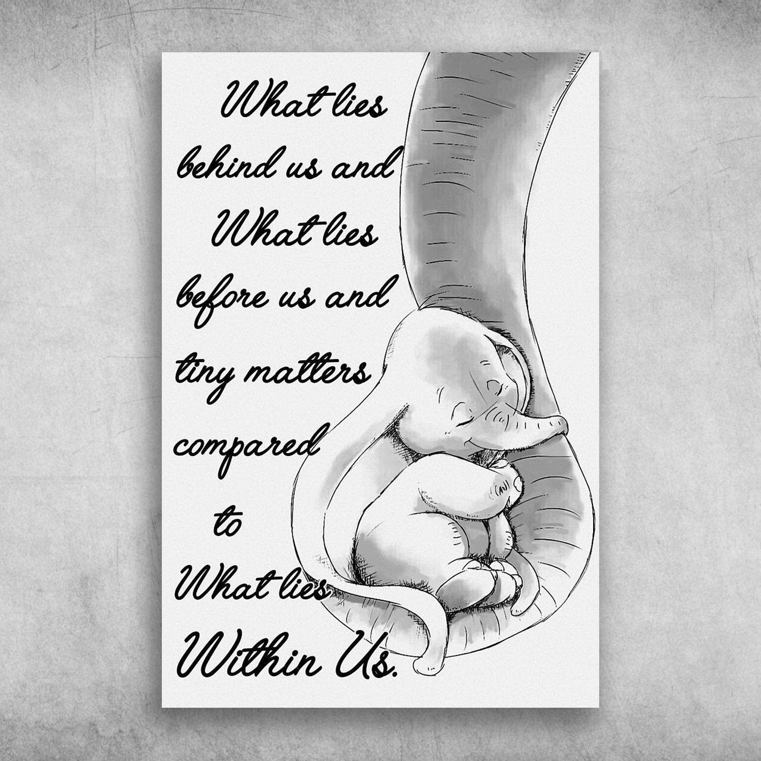 Elephant What Lies Before Us And Tiny Matters Poster Print Wall Art Canvas Wall Decor