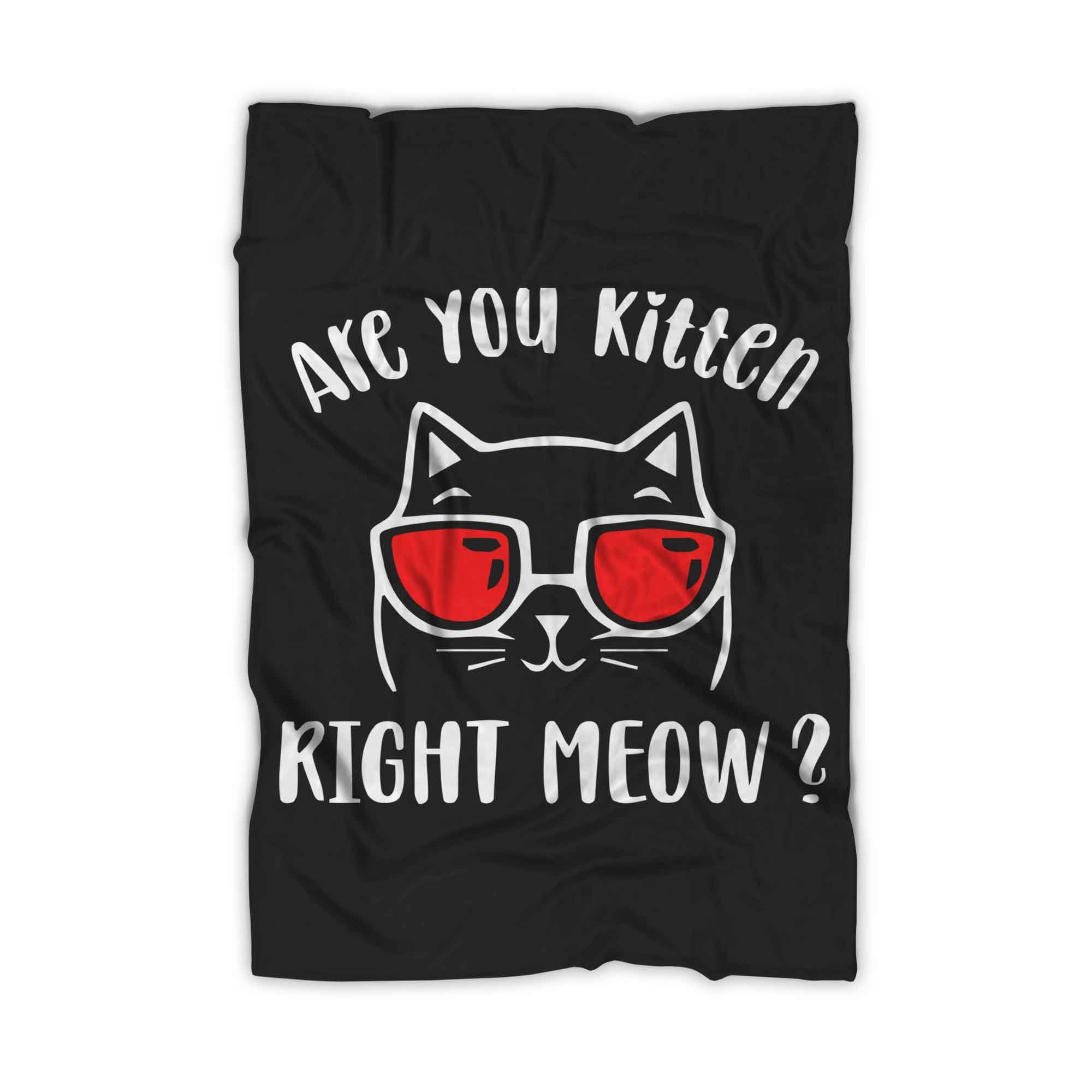 Are You Kitten Me Right Meow Cat Blanket