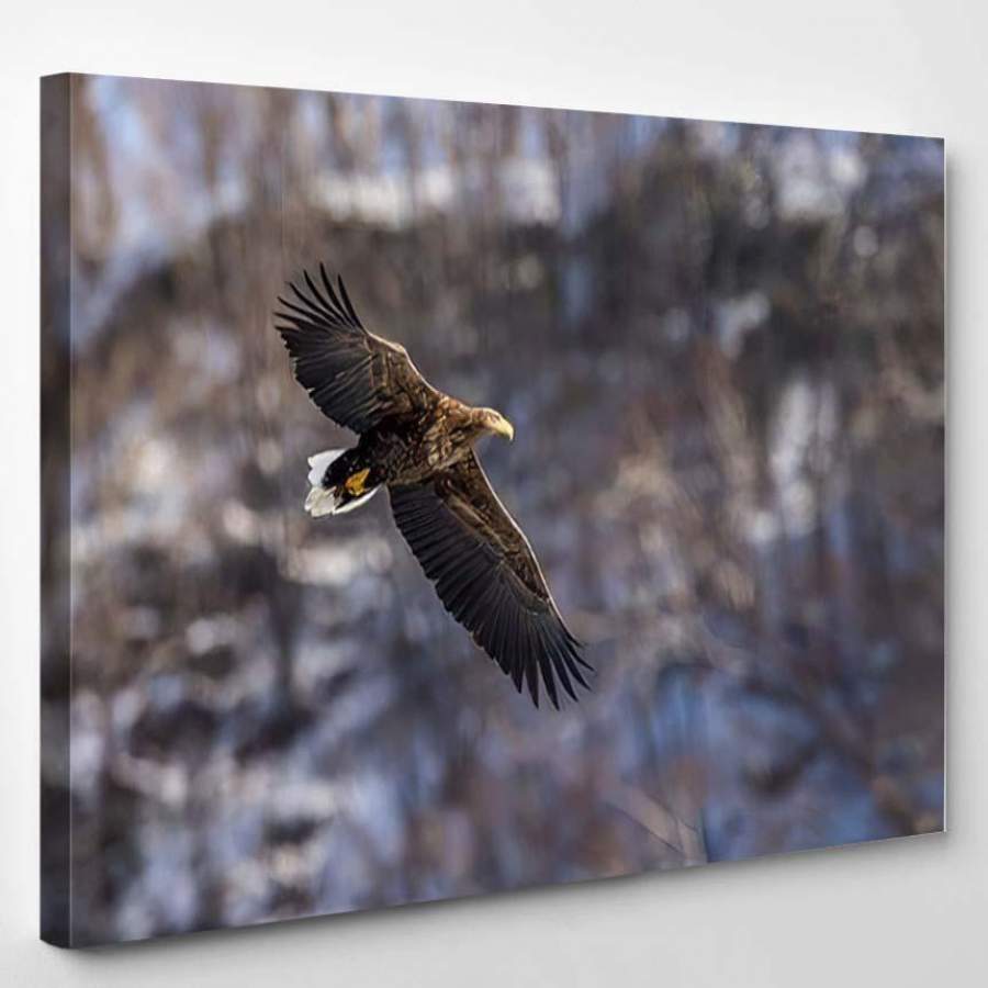 White Tailed Eagle Flight Snowcovered Mountain – Eagle Animals Canvas Art Wall Decor Christmas Gift Ideas