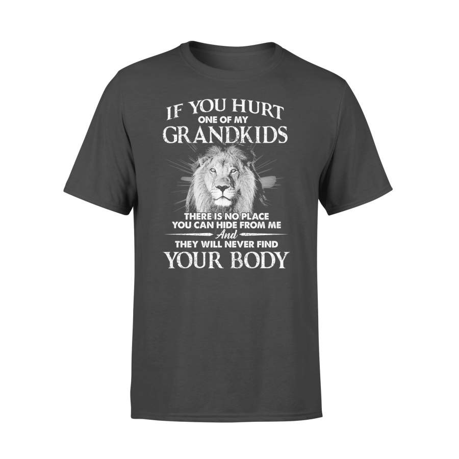 Lion If You Hurt One Of My Grandkids There Is No Place You Can Hide From Me T-shirt