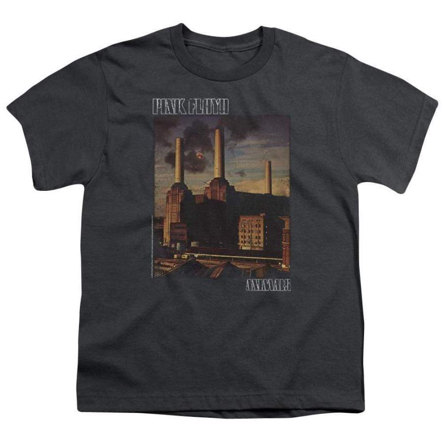 Pink Floyd Faded Animals Youth T-Shirt (Ages 8-12)