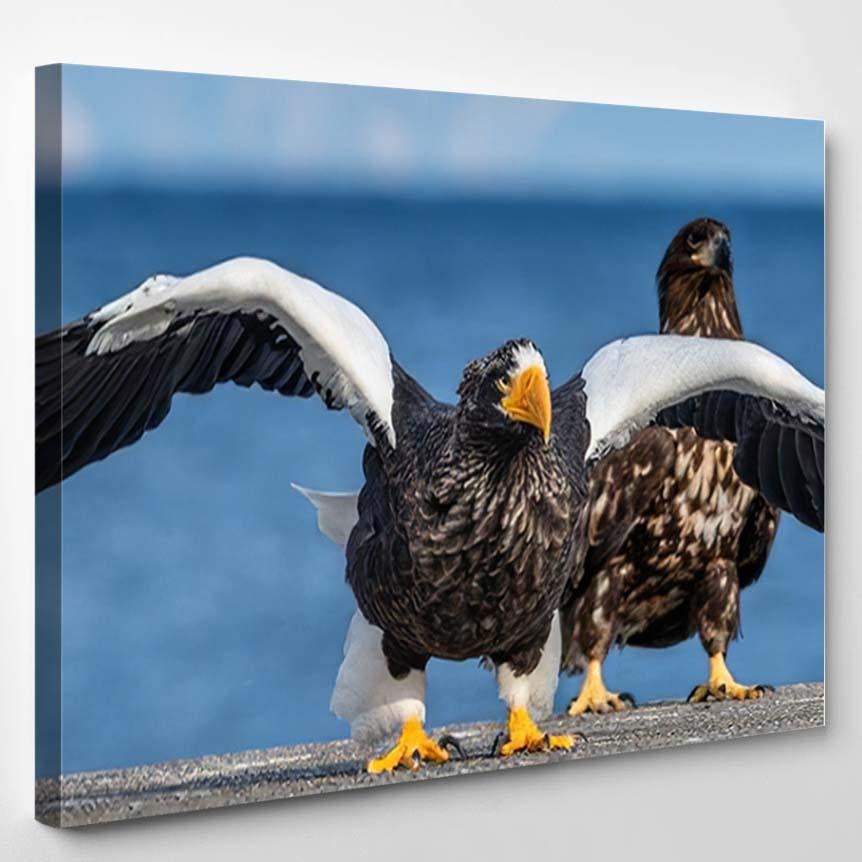 Adult Stellers Sea Eagle Spread Wings – Eagle Animals Canvas Print