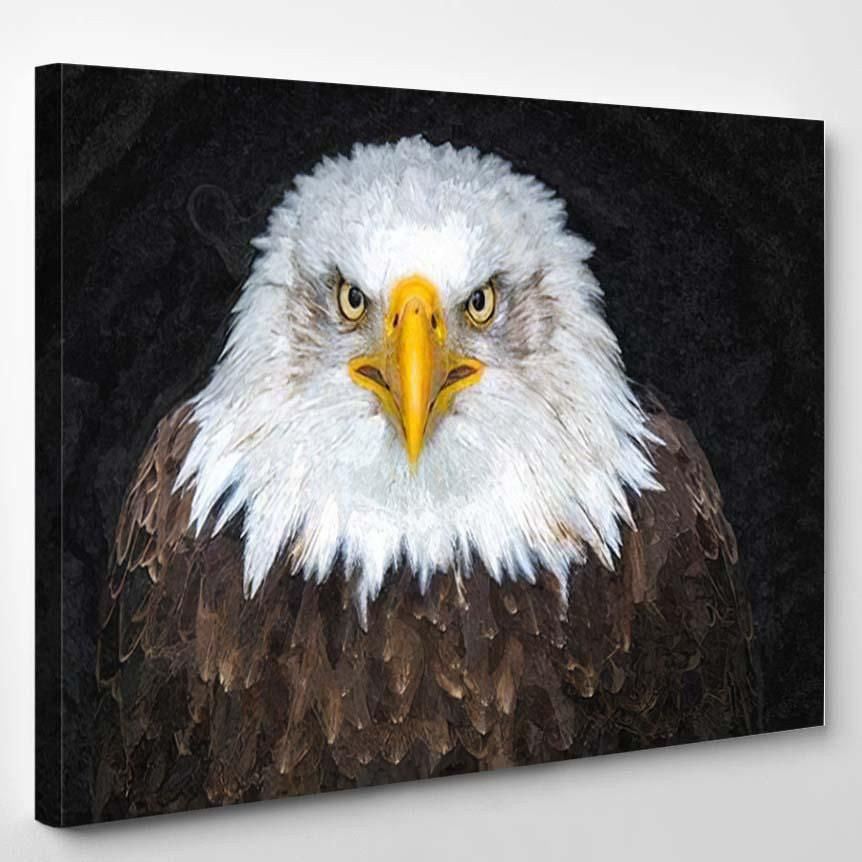 Oil Painting Bald Eagle Face – Eagle Animals Canvas Art Wall Decor Christmas Gift Ideas