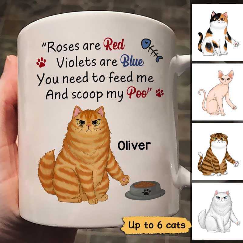 Roses Are Red Feed Me And Scoop Up Poo Angry Cats Father‘S Day Gift Personalized Mug