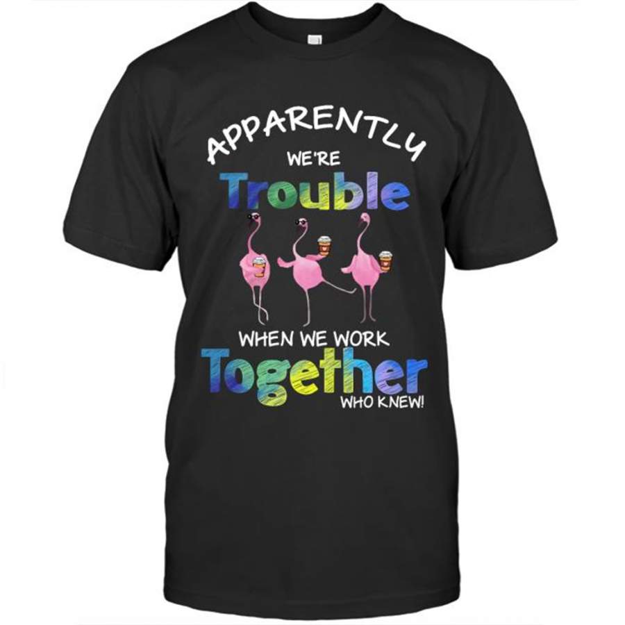 Flamingo Apparently We’re Trouble When We’re Together Who Knew, Coffee Lover  T-Shirt