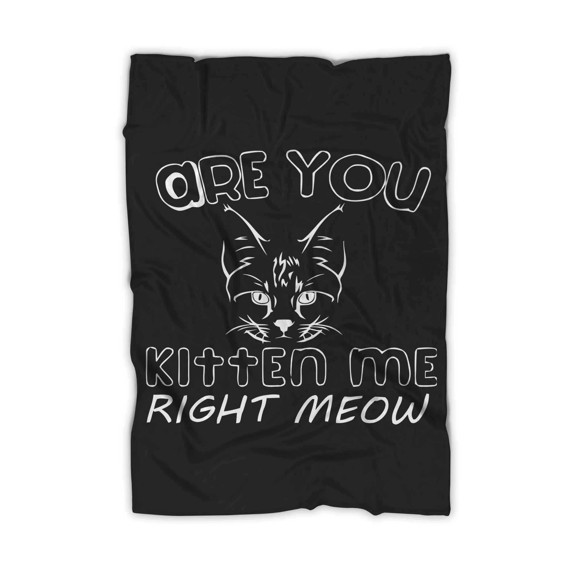 Are You Kitten Me Right Meow Maind Blanket