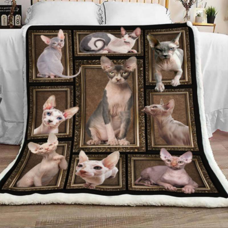 Sphynx Cat Sherpa Blanket JR0901 67O43