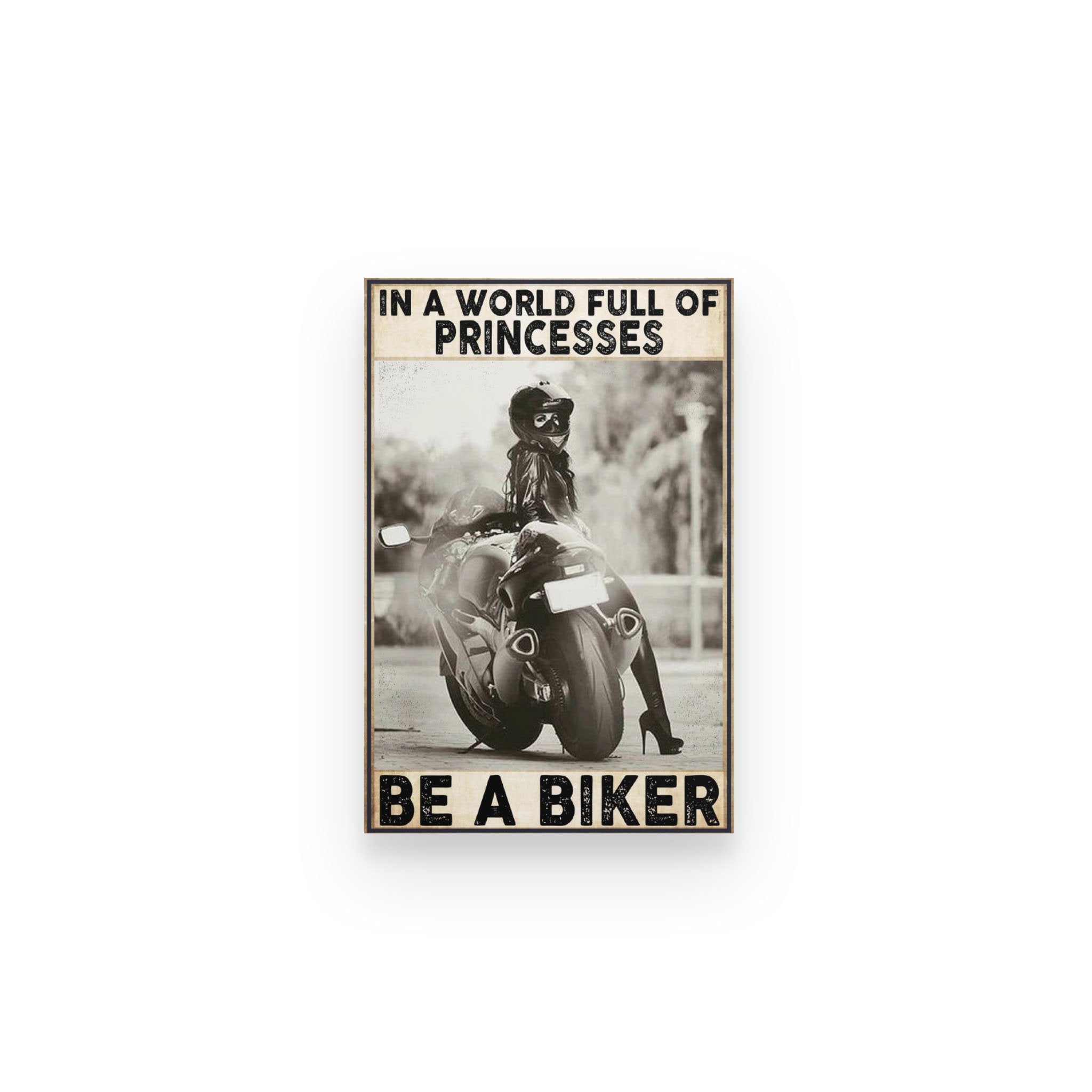 Biker Sportbike In World Full Of Princesses – Poster