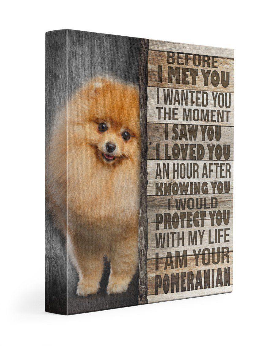 Before I Met You I Wanted You The Moment Giving Pomeranian Lovers – Home Decor – Matte Canvas