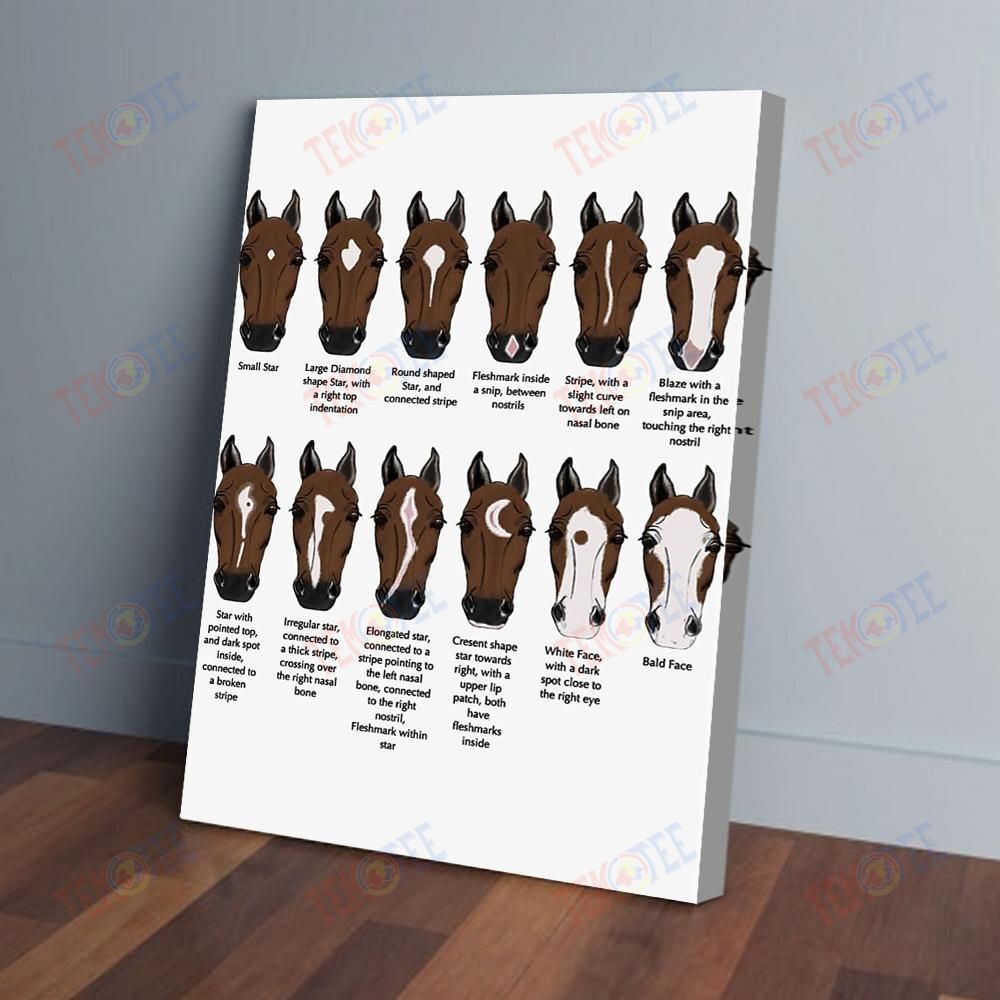 Best Canvas Prints Horse Face Knowledge Wall Art Canvas Alluring Canvas Room Decor