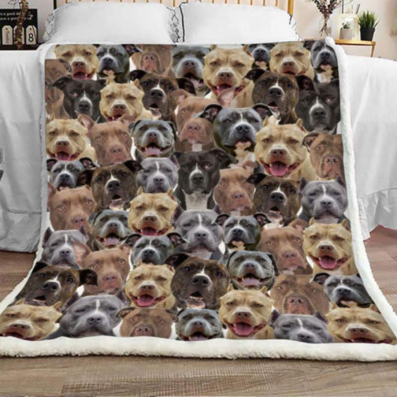 Pitbull Sherpa Blanket JR2101 69O59