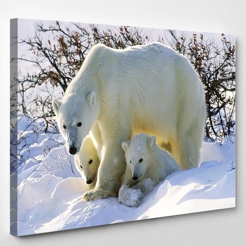 Polar Bear Her Twin Cubs Year 1 – Bear Animals Canvas Print