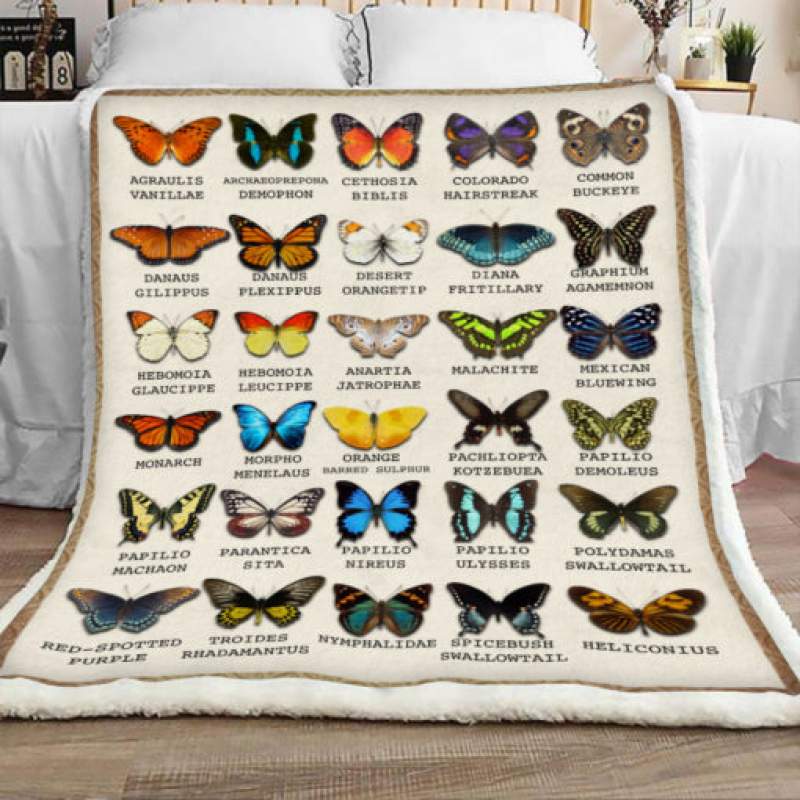 Butterfly Sherpa Blanket JR1601 87O39