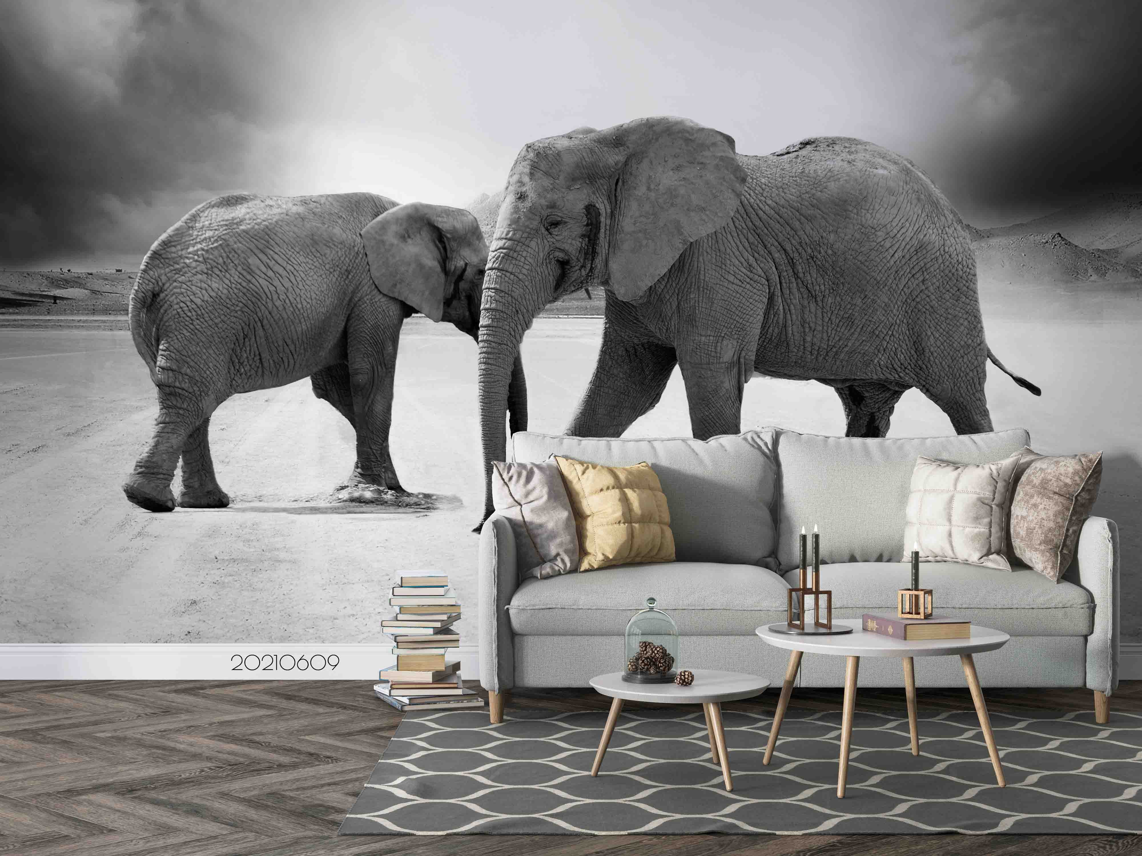 3D Africa Elephant Grey Wall Mural Wallpaper Sww1729