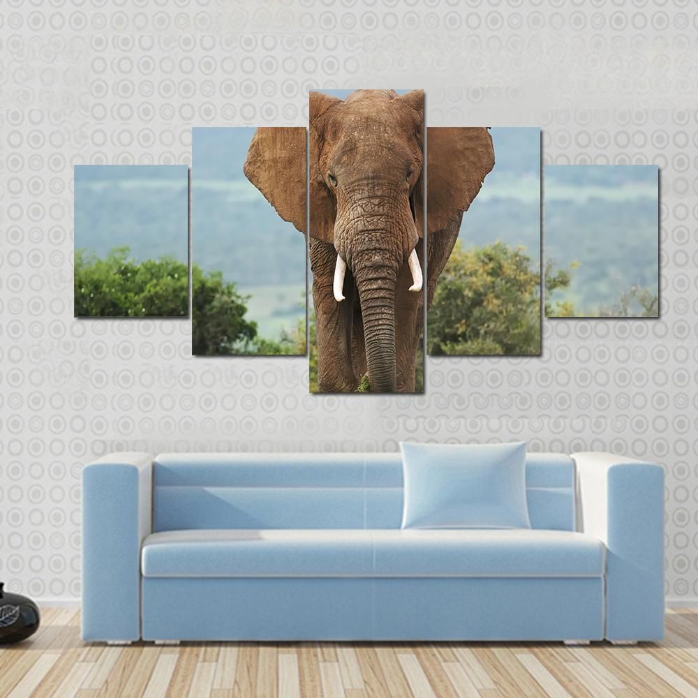 African Elephant In Addo Elephant Park Animal 5 Panel Canvas Art Wall Decor