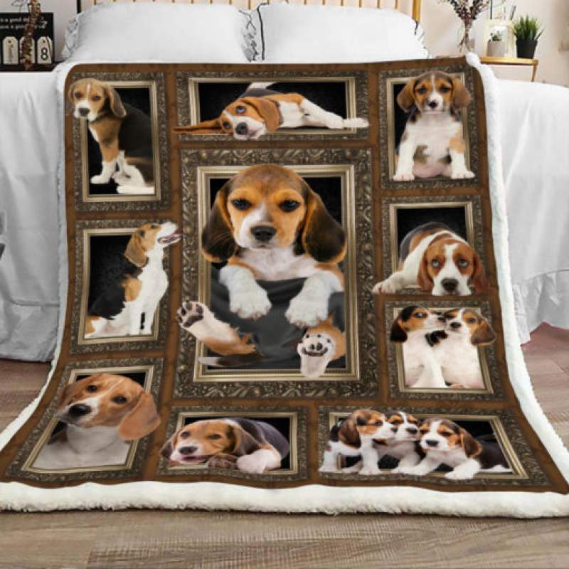 Beagle Dog Blanket JR1501 77O42